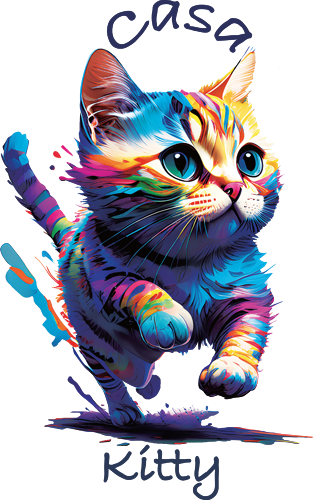 Casa Kitty